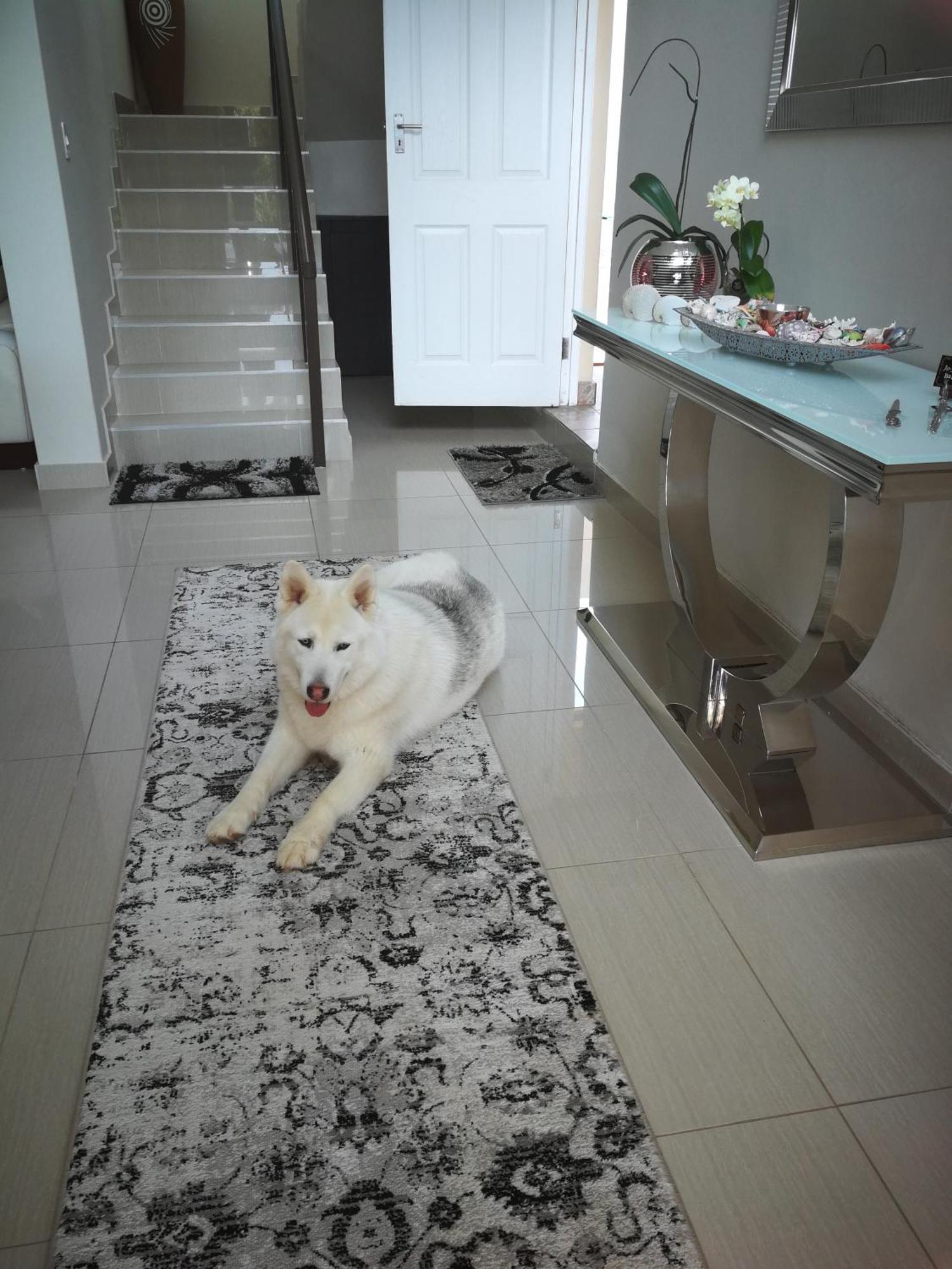 Jojo'S Bnb Mossel Bay Extérieur photo